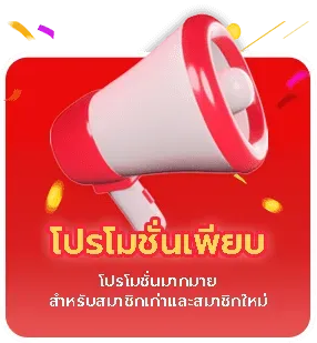 โปรโมชั่นเพียบ